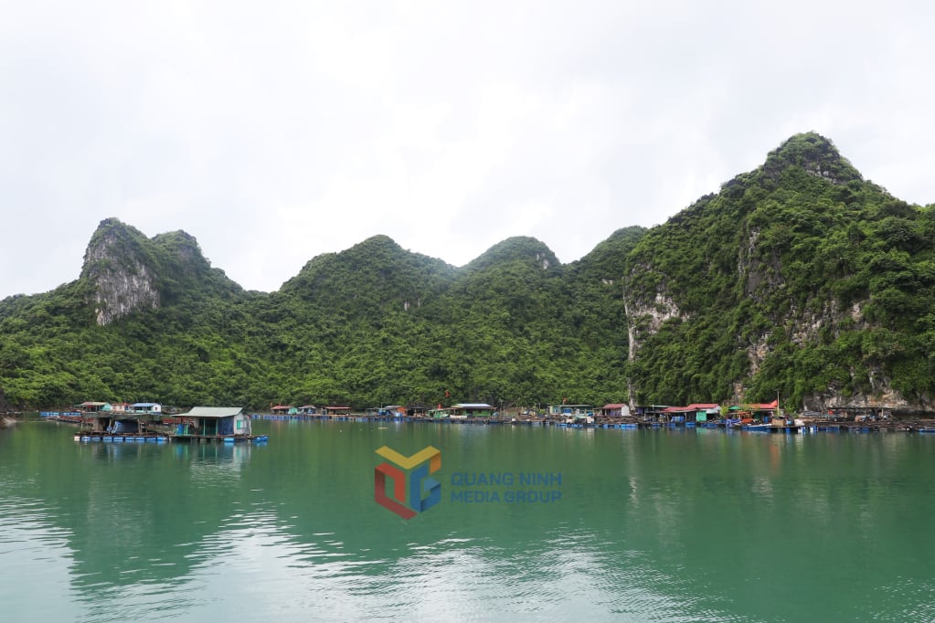 Lao Vong fishing village on Bai Tu Long Bay.