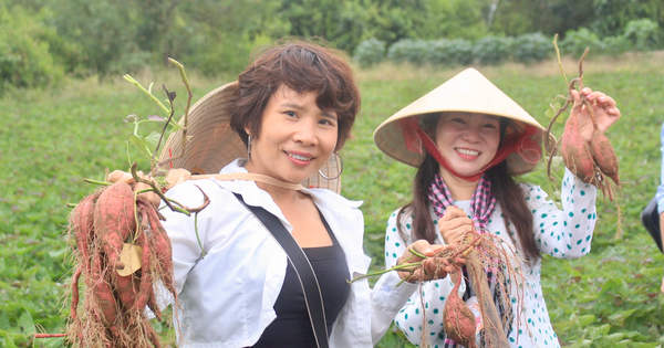 ក្រោយ​ពី​បែក​បាក់​គ្នា តើ​ខេត្ត​ណា​ជា​ខេត្ត​គុយឡុង ដែល​ស្ថិត​នៅ​ចន្លោះ​ទន្លេ Tien និង​ទន្លេ Hau?