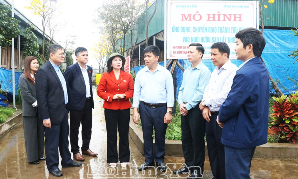 La delegación de monitoreo del Consejo Popular Provincial realizó un monitoreo temático en los distritos de Kim Dong y Phu Cu y en la ciudad de Hung Yen.