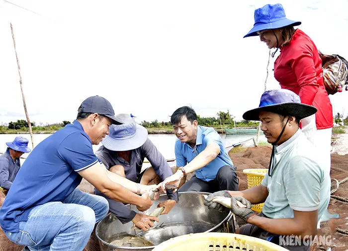 Tỷ phú cá đồng vùng đất phèn