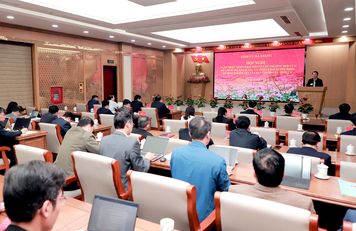 Overview of the conference at the Provincial Party Committee bridge.