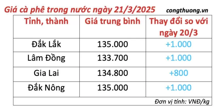 Giá cà phê hôm nay 21/3/2025 trong nước tăng 1.000 đồng/kg