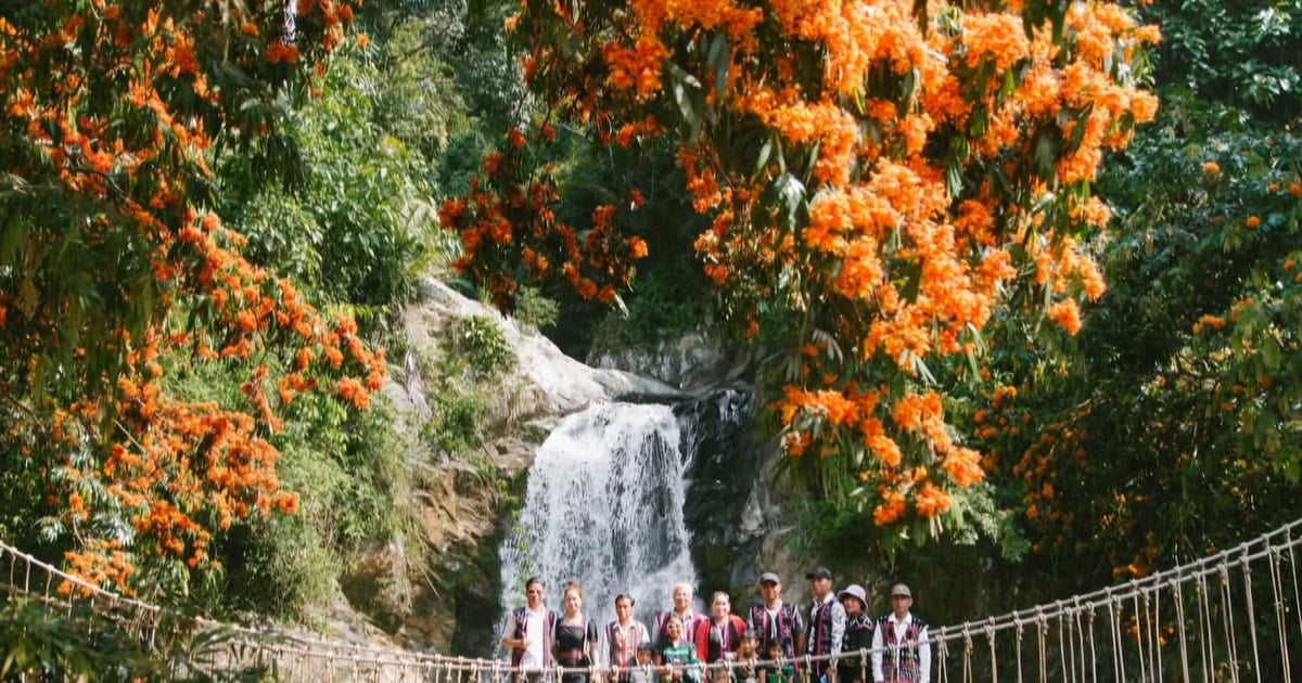 Tombez amoureux de la saison des fleurs à la montagne