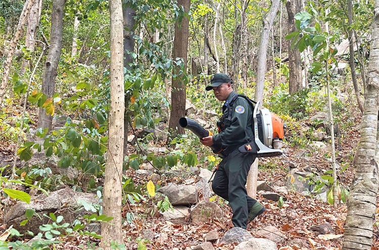 Join hands to protect forests, preserve the green color of An Giang