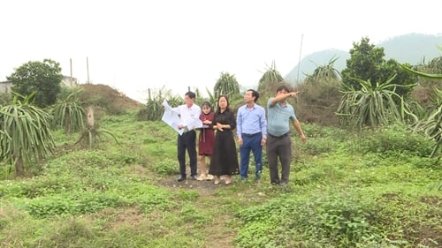 Despeje del sitio de Lap Thach para el proyecto de línea de transmisión de 500 kV Lao Cai-Vinh Yen