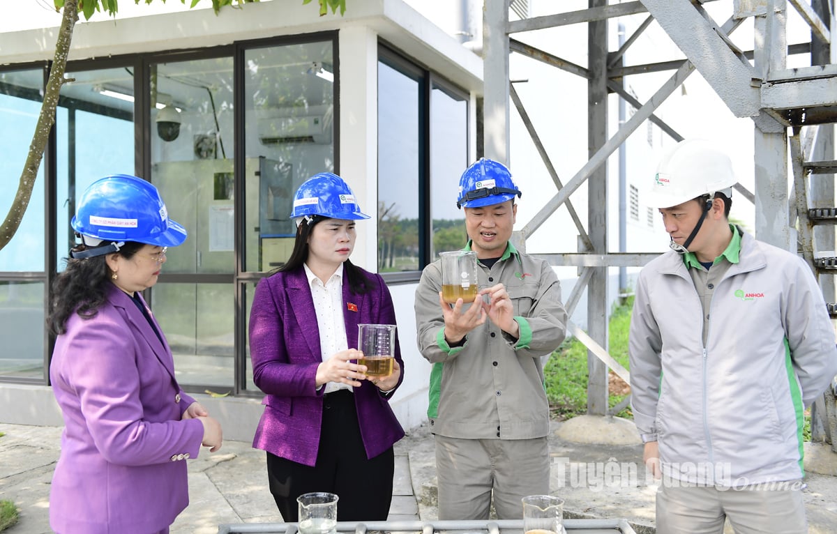 The provincial National Assembly delegation supervised at An Hoa Paper Joint Stock Company, Phuong Bac General Hospital, Tuyen Quang Dairy Farm and Tuyen Quang Lung Hospital.