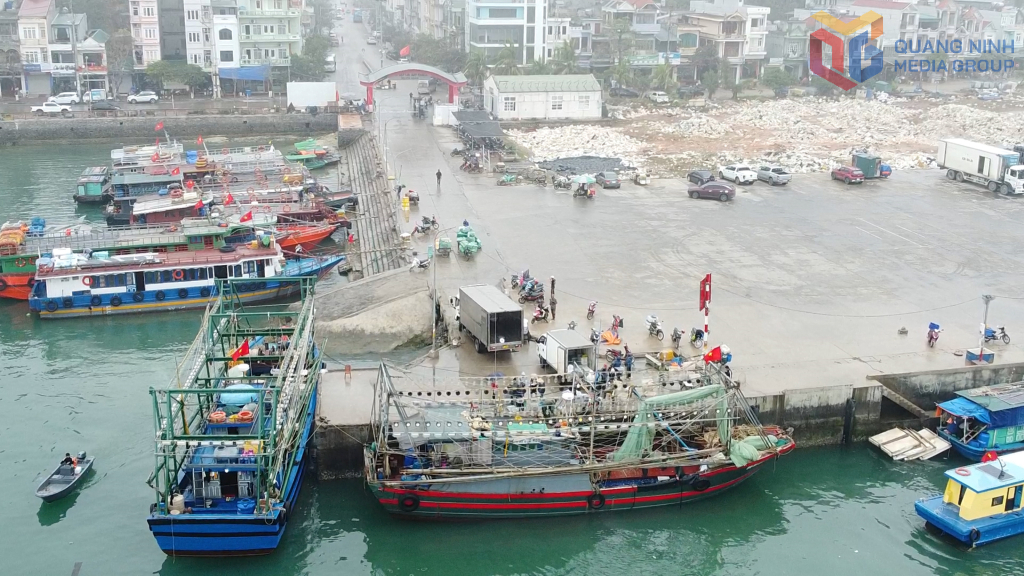 Ban quản lý Cảng cá Cái Rồng bố trí các điểm để tàu cá vào bốc dỡ thủy sản khai thác và kiểm soát sản lượng qua cảng.