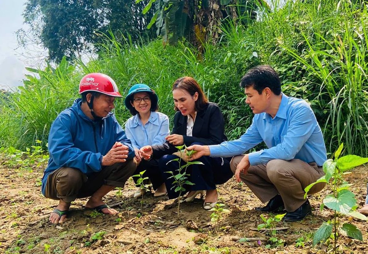 Cán bộ của Trung tâm Khuyến nông và Nước sạch nông thôn tỉnh Lào Cai tập huấn kỹ thuật trồng dâu cho người dân. Ảnh: Nguyễn Lý.