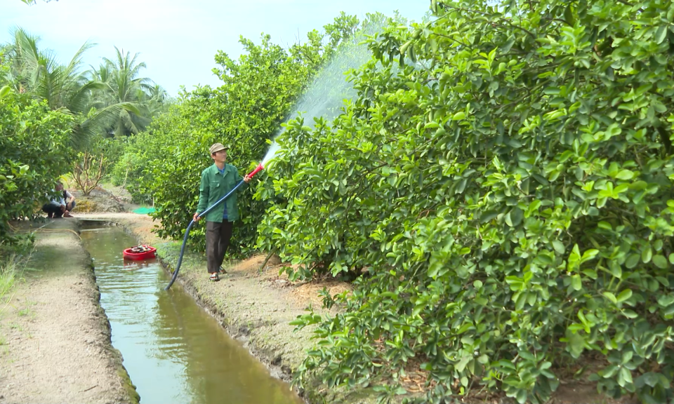 Long An ứng phó xâm nhập mặn gia tăng trong mùa khô