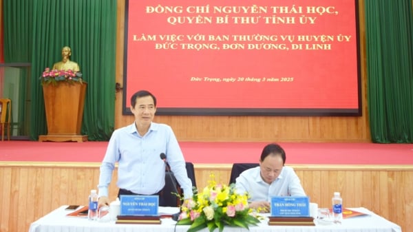 Le camarade Nguyen Thai Hoc, secrétaire par intérim du Comité provincial du Parti, a travaillé avec le Comité permanent des comités du Parti des districts de Duc Trong, Don Duong et Di Linh.