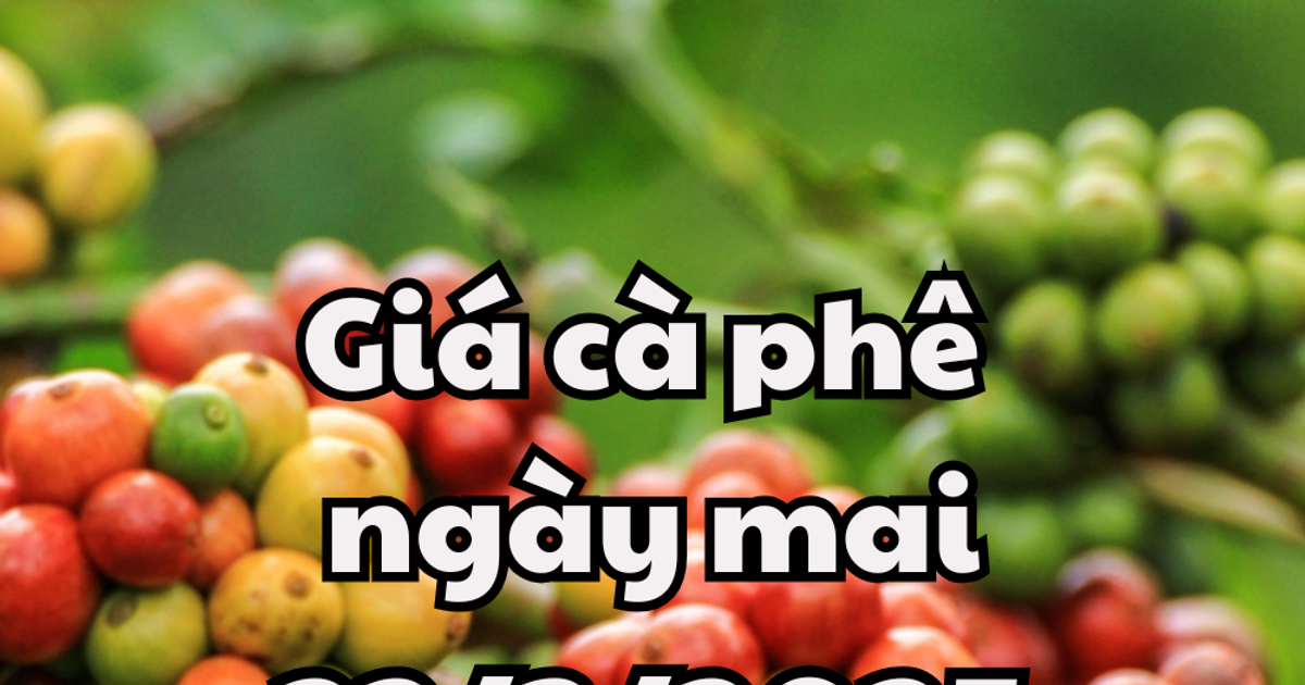 ข่าวสาร คาดการณ์ราคากาแฟพรุ่งนี้ 22 มี.ค. 68 อาจฟื้นตัว