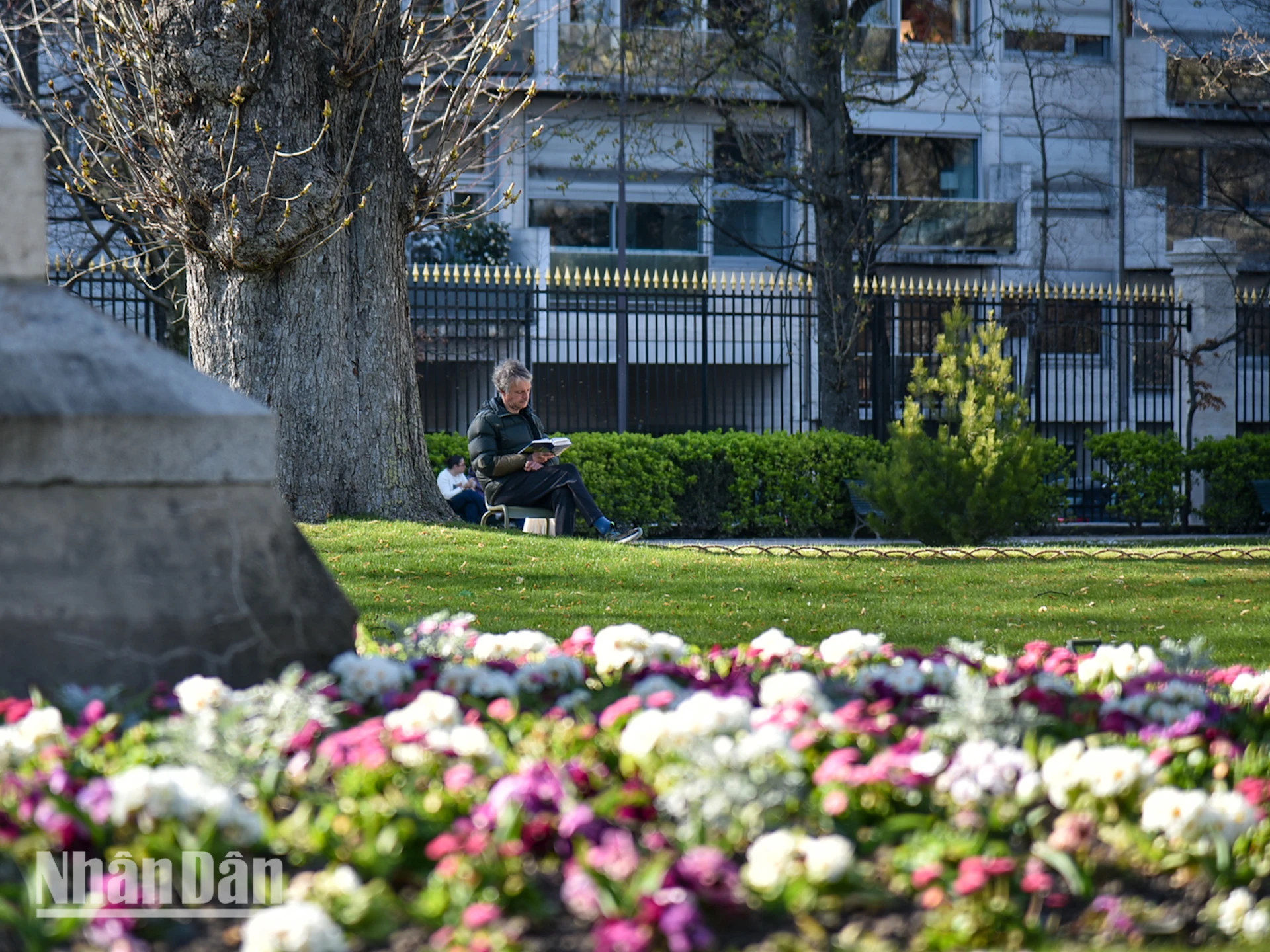 [Ảnh] Paris “mê hoặc” mùa hoa khoe sắc ảnh 12