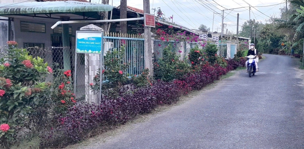 ホアトゥアン村 - 新しい農村地域のモデル構築における明るい兆し