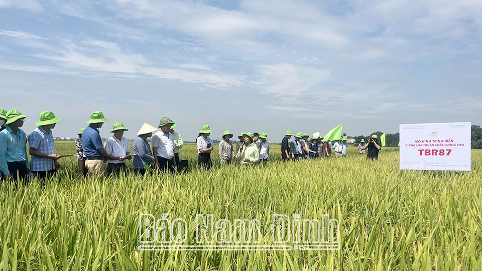 Góp phần thúc đẩy sản xuất nông nghiệp
phát triển hiệu quả, bền vững