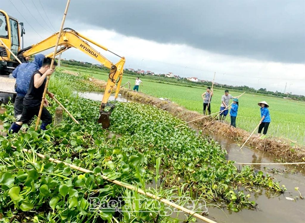 Müllsammeln, Entfernen von Wasserhyazinthen und Reinigen des Binnenflusssystems in der Gemeinde Lien Phuong (Stadt Hung Yen)