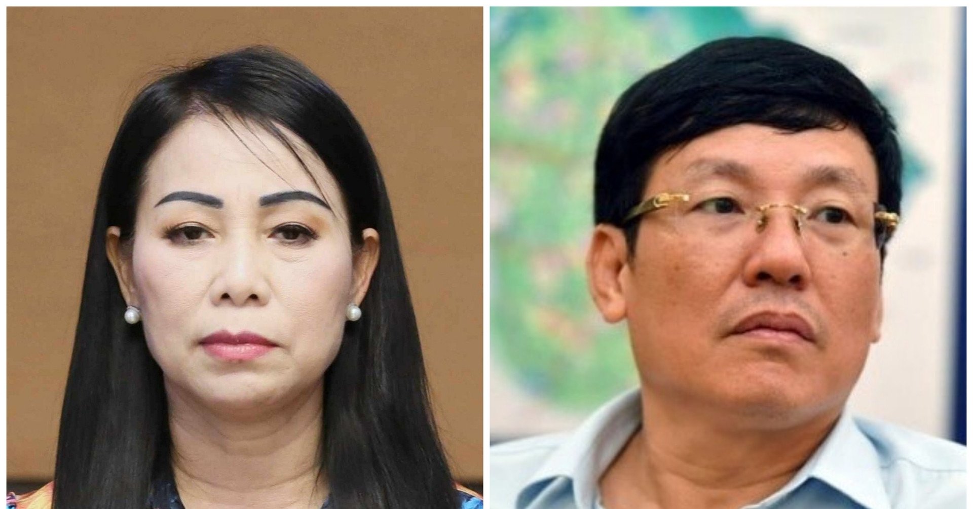 Ms. Hoang Thi Thuy Lan made false statements, Mr. Le Duy Thanh overcame the situation