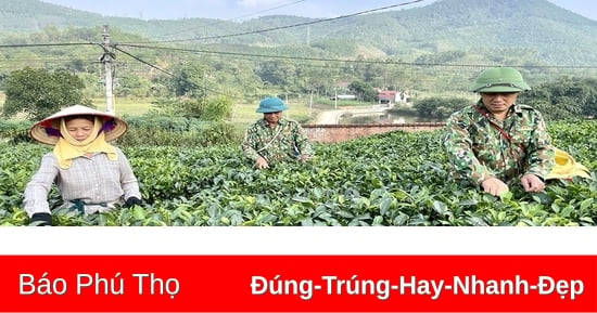 Phát triển và bảo tồn làng nghề truyền thống