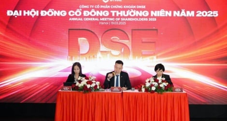 ประชุมผู้ถือหุ้น DNSE หนุนธุรกิจอนุพันธ์ เพิ่มเป้ารายได้เป็น 1,507 พันล้านดอง