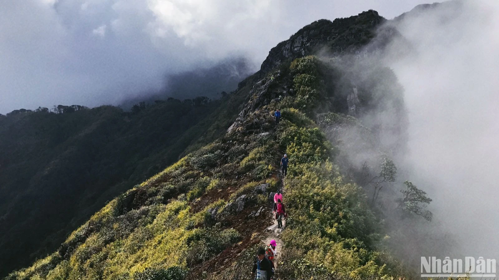 Admire los rododendros de principios de temporada en las montañas del noroeste, foto 2
