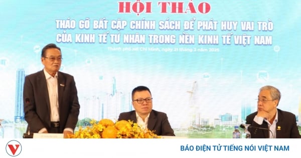 Cần thêm chính sách thúc đẩy để doanh nghiệp tư nhân "chịu lớn"