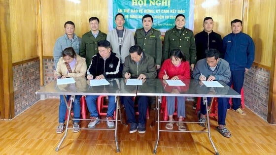 Hoang Lien forest rangers and people sign commitment to protect forests