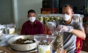 Point positif dans la production et la consommation de produits typiques à Mang Yang