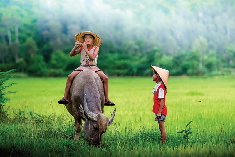 Mère et ville natale - Journal électronique Quang Binh