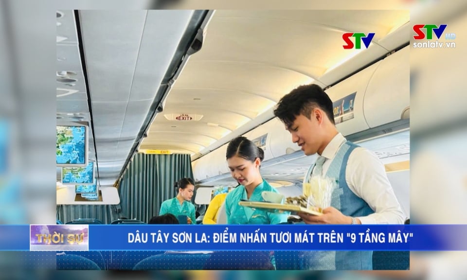 Dâu Tây Sơn La: Điểm nhấn tươi mát trên “9 tầng mây”