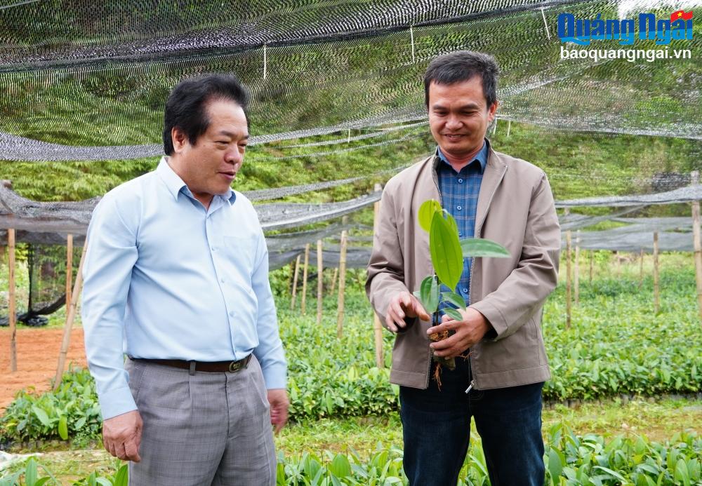 Vice Chairman of the Provincial People's Committee Vo Phien inspected the site at Tra Bong Pharmaceutical Joint Stock Company, Tra Phong commune (Tra Bong).