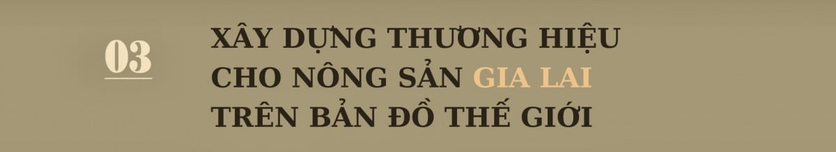 Nông sản Gia Lai làm gì để vào thị trường Nhật Bản?