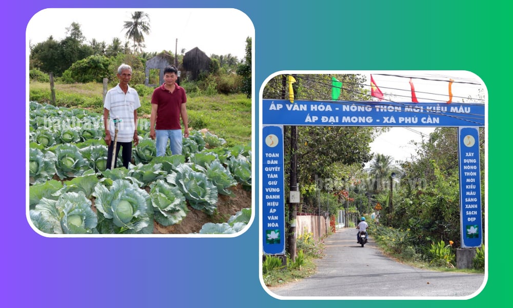 Economic development, people's life in Phu Can commune is increasingly improved.