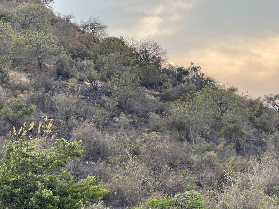 A corner of sunrise on Tau Mountain after the fire that happened last night.