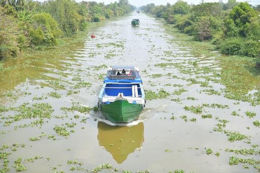 Chủ động ứng phó với xâm nhập mặn trên các tuyến sông, rạch