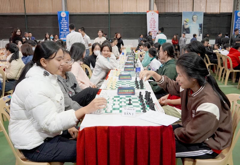 "Sweet fruit"... chess - Quang Binh Electronic Newspaper