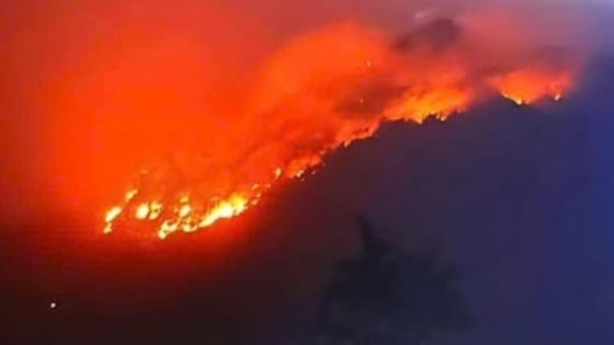 El incendio forestal en Tuyen Quang cubre un área de hasta 10 hectáreas