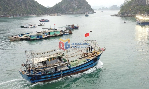 Quảng Ninh siết chặt kiểm soát IUU