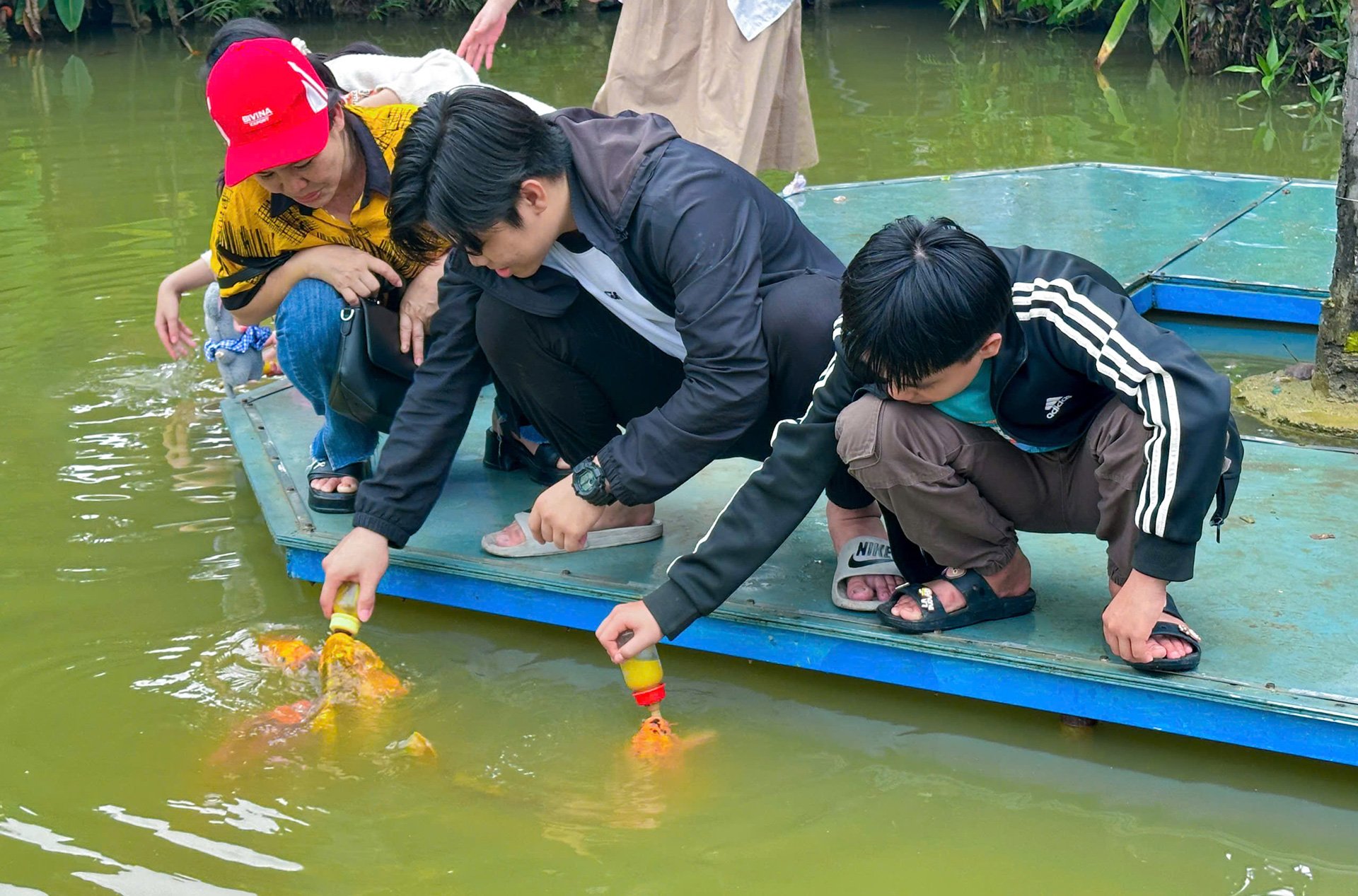 Du khách trải nghiệm cá bú bình độc đáo