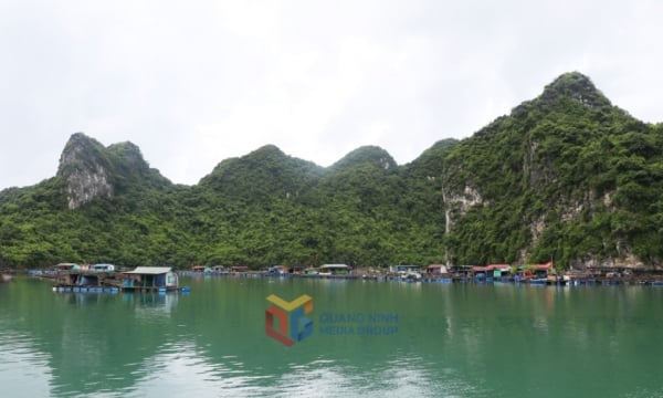 Mở tour khám phá Bái Tử Long