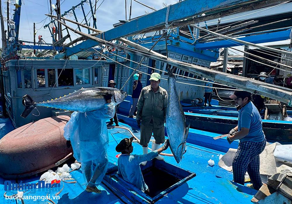 Construyendo una cadena de consumo de mariscos