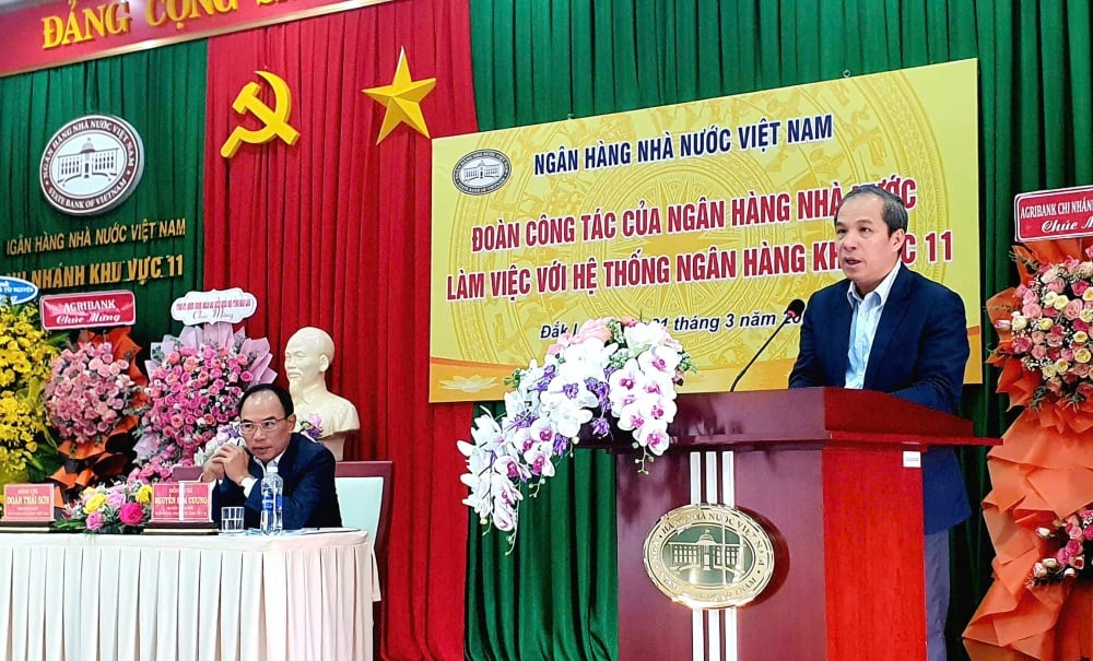 Deputy Governor of the State Bank of Vietnam Doan Thai Son works with the banking system of Region 11