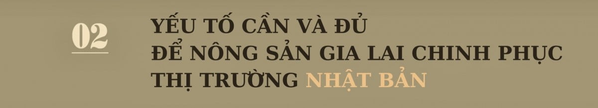 Nông sản Gia Lai làm gì để vào thị trường Nhật Bản?