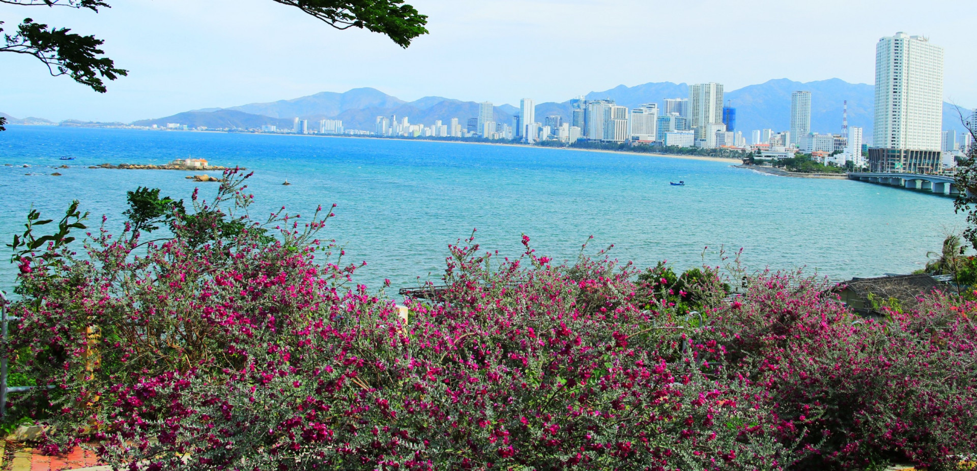 La ville côtière est pleine de fleurs au soleil