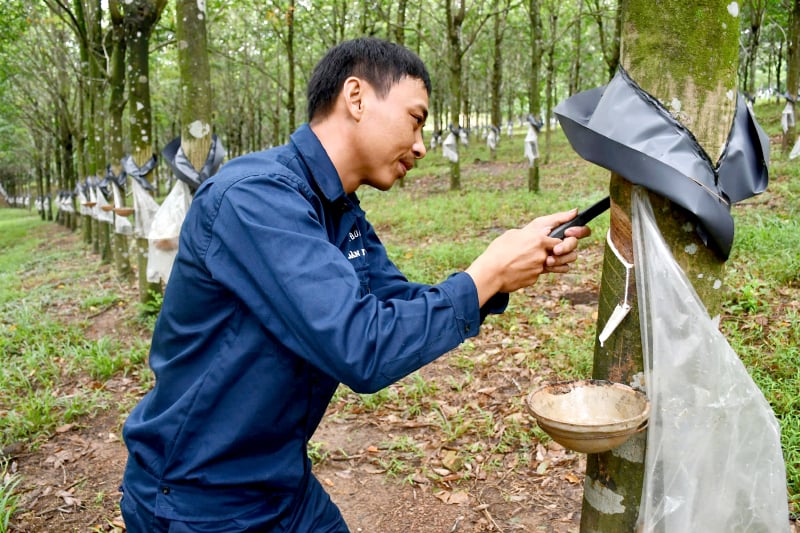 "Điểm tựa" vững chắc của nhân dân