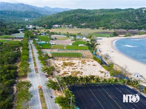 Aceleración de la implementación de los proyectos que componen la central nuclear Ninh Thuan 2