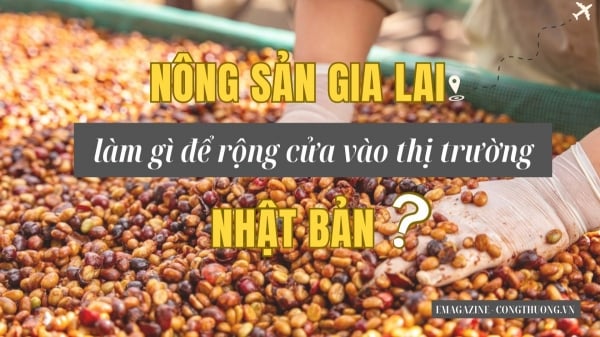 What does Gia Lai agricultural products do to enter the Japanese market?