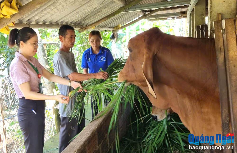 Bringing policy capital to farmers