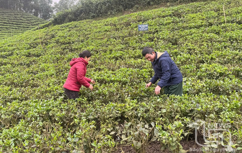 Phát huy giá trị các làng nghề