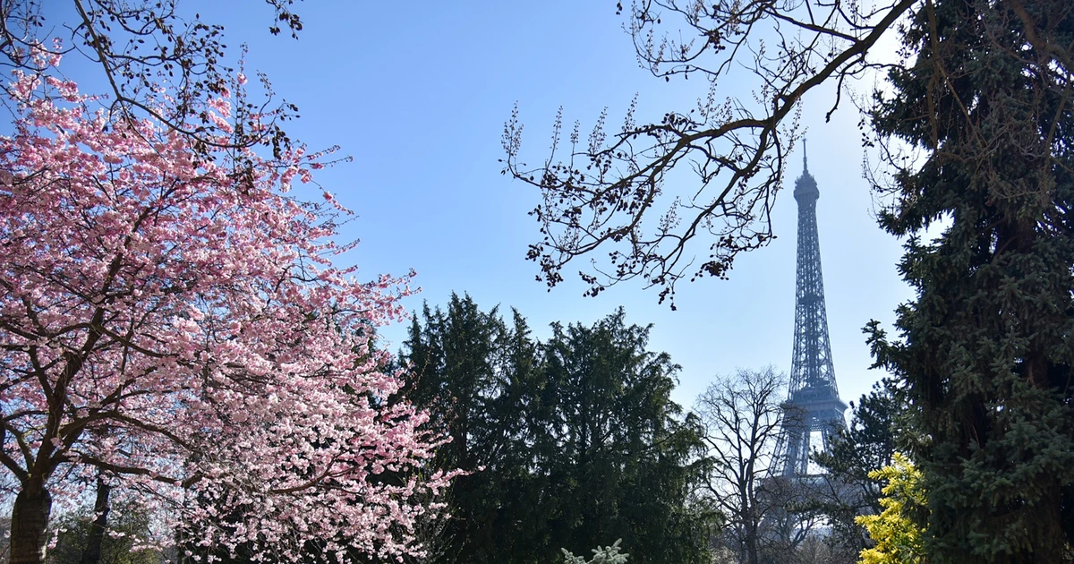 [Foto] Paris „verzaubert“ von der blühenden Blumensaison