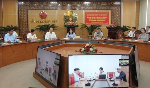 Reviewing application files for consideration and recognition of Tan Thanh and Vinh Hung districts meeting new rural standards