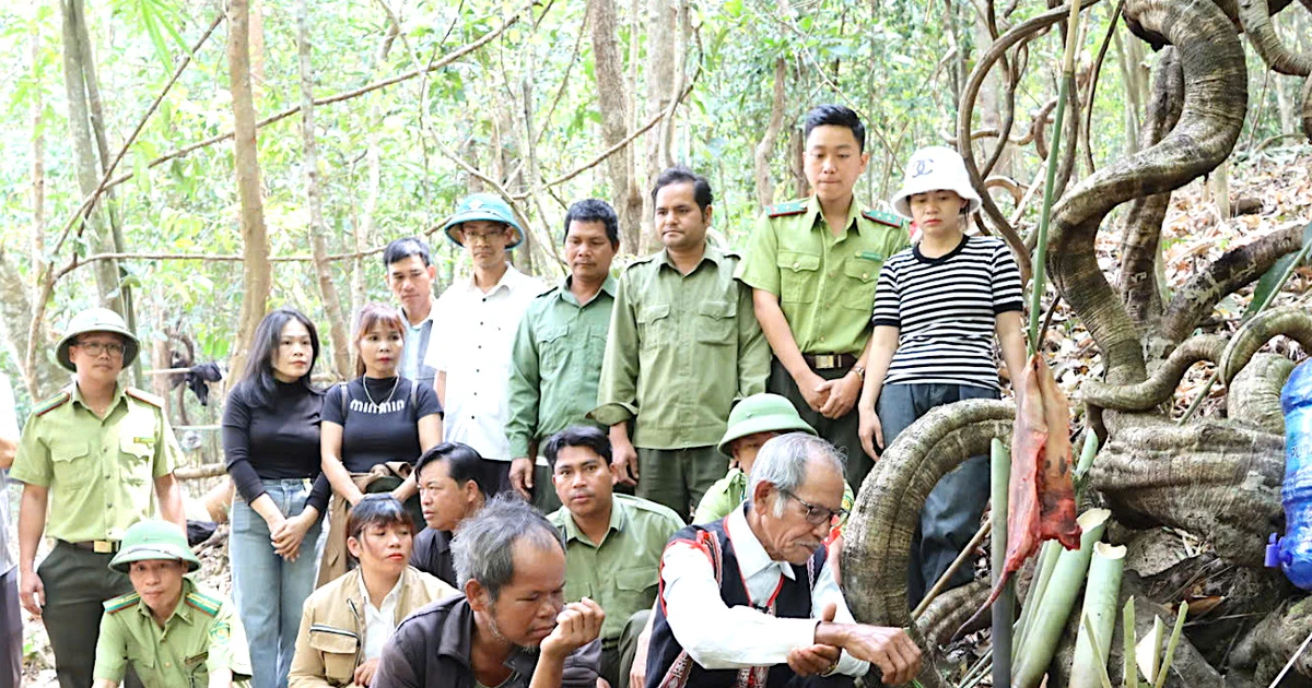 Witness the Jrai people's forest worship ceremony